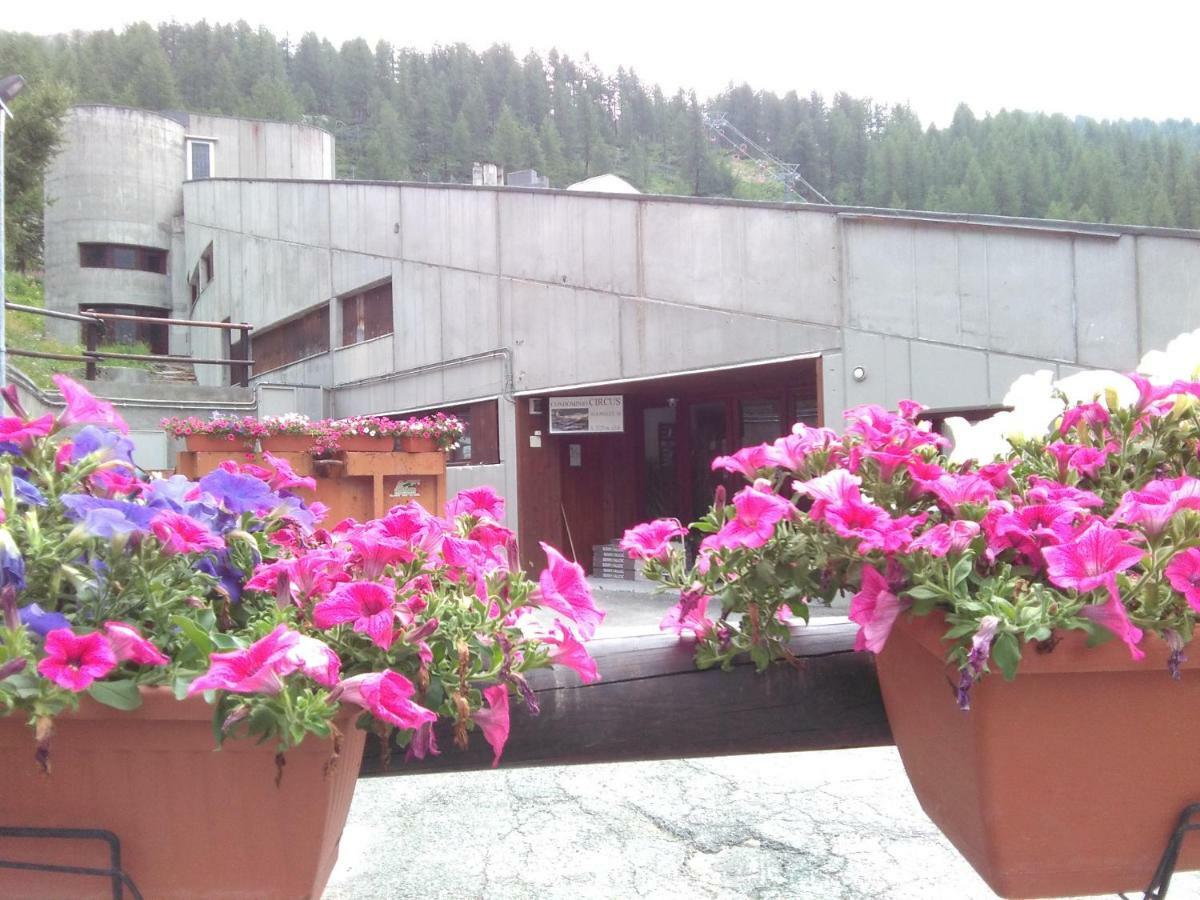 Soldanella Cervinia Apartment Vda Vacanze In Vetta Cir 0253 Breuil-Cervinia Exteriör bild