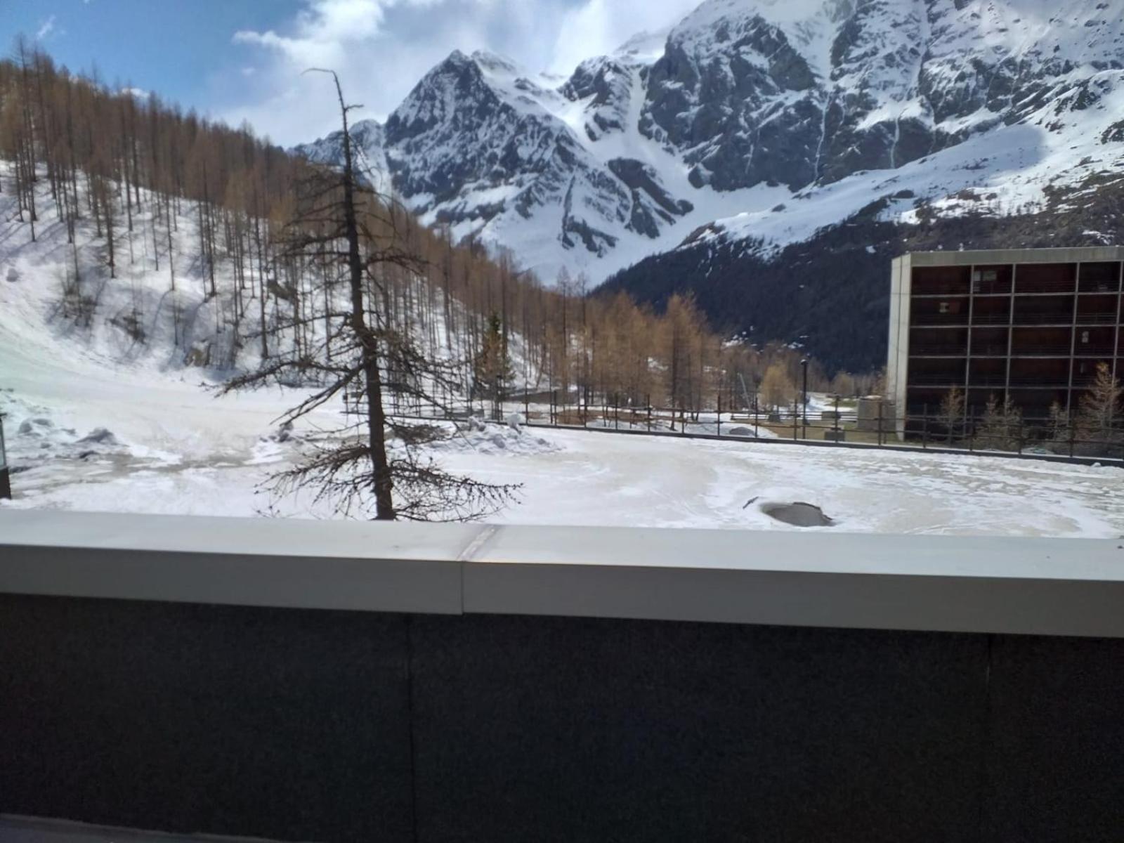 Soldanella Cervinia Apartment Vda Vacanze In Vetta Cir 0253 Breuil-Cervinia Exteriör bild