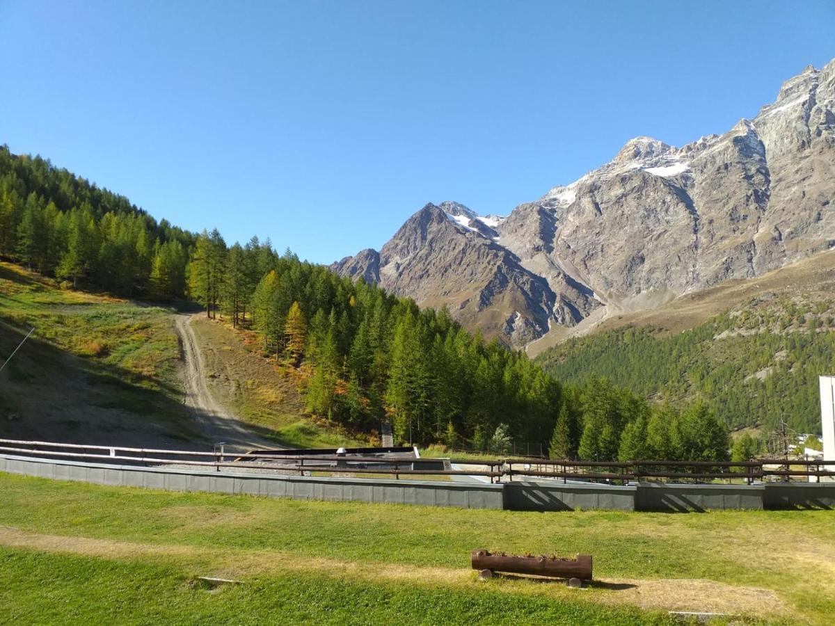 Soldanella Cervinia Apartment Vda Vacanze In Vetta Cir 0253 Breuil-Cervinia Exteriör bild